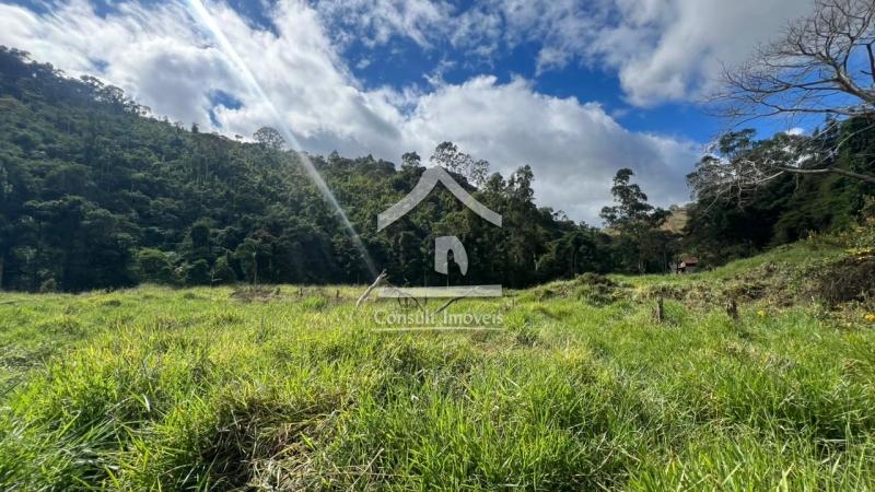 Terreno Residencial à venda em Pedro do Rio, Petrópolis - RJ - Foto 5