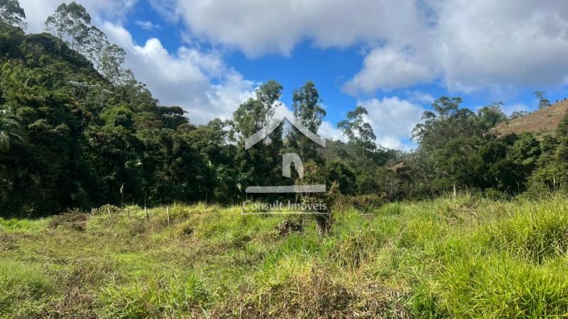 Terreno Residencial à venda em Pedro do Rio, Petrópolis - RJ - Foto 3