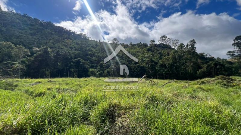 Terreno Residencial à venda em Pedro do Rio, Petrópolis - RJ - Foto 1