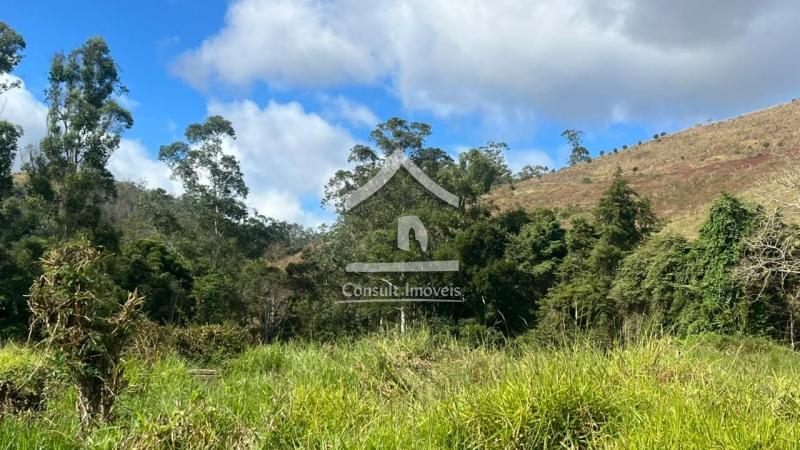 Terreno Residencial à venda em Pedro do Rio, Petrópolis - RJ - Foto 7