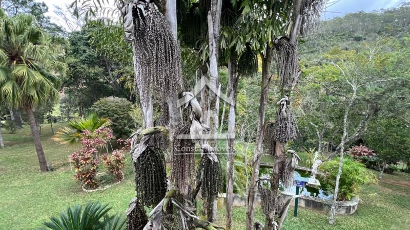 Fazenda / Sítio à venda em Pedro do Rio, Petrópolis - RJ - Foto 33