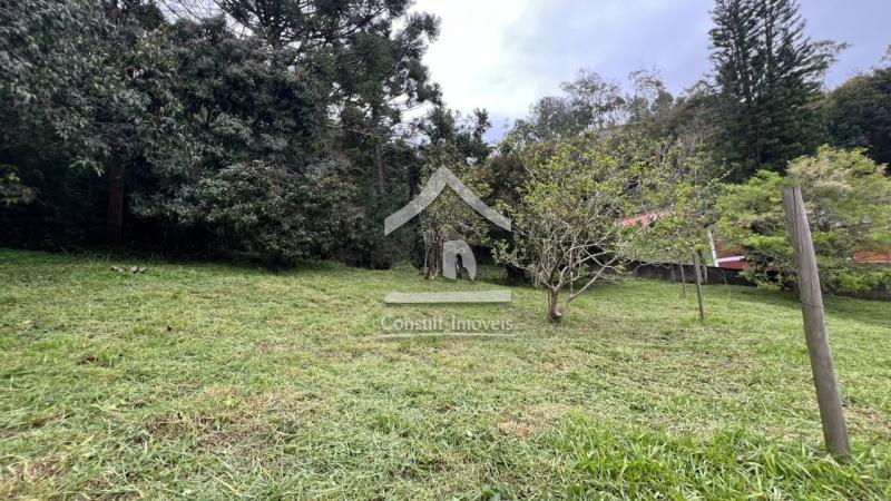 Terreno Residencial à venda em Itaipava, Petrópolis - RJ - Foto 3