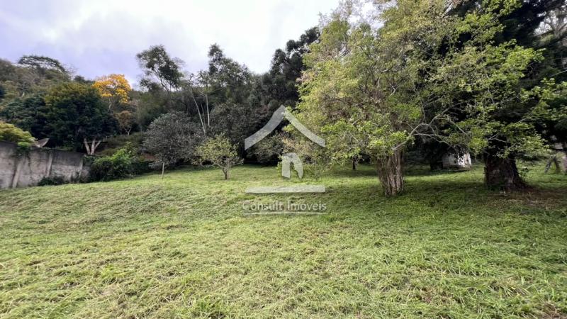 Terreno Residencial à venda em Itaipava, Petrópolis - RJ - Foto 6