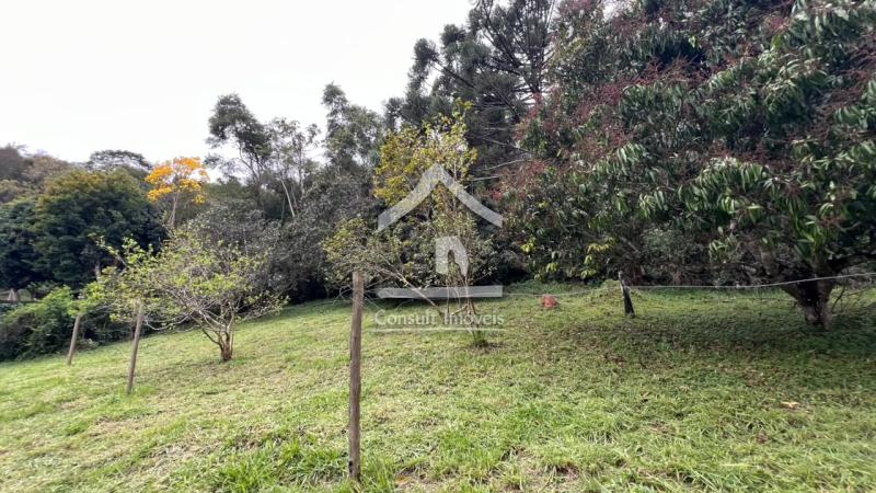 Terreno Residencial à venda em Itaipava, Petrópolis - RJ - Foto 9