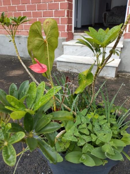 Casa à venda em Bairro Castrioto, Petrópolis - RJ - Foto 23