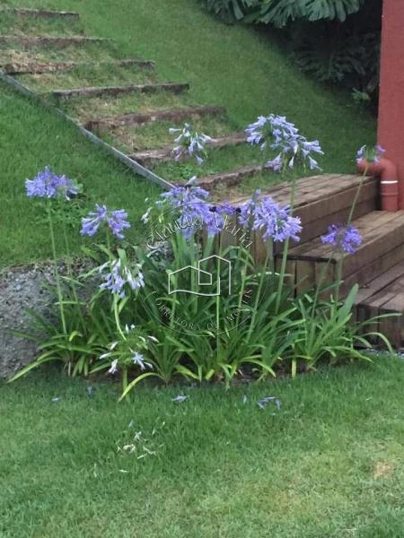 Casa à venda em Samambaia, Petrópolis - RJ - Foto 31