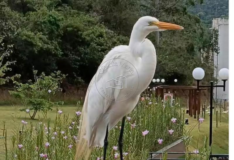 Apartamento à venda em Centro, Petrópolis - RJ - Foto 39
