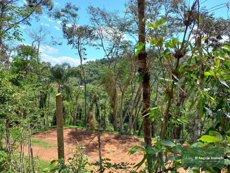 Terreno Residencial à venda em Rio de Janeiro, Paraíba do Sul - RJ - Foto 2