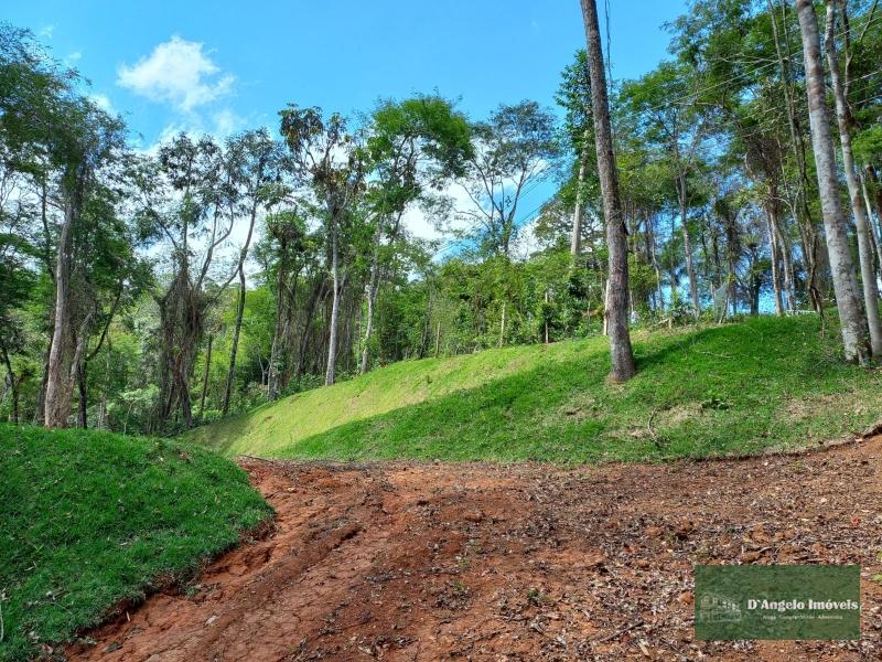 Terreno Residencial à venda em Rio de Janeiro, Paraíba do Sul - RJ - Foto 4