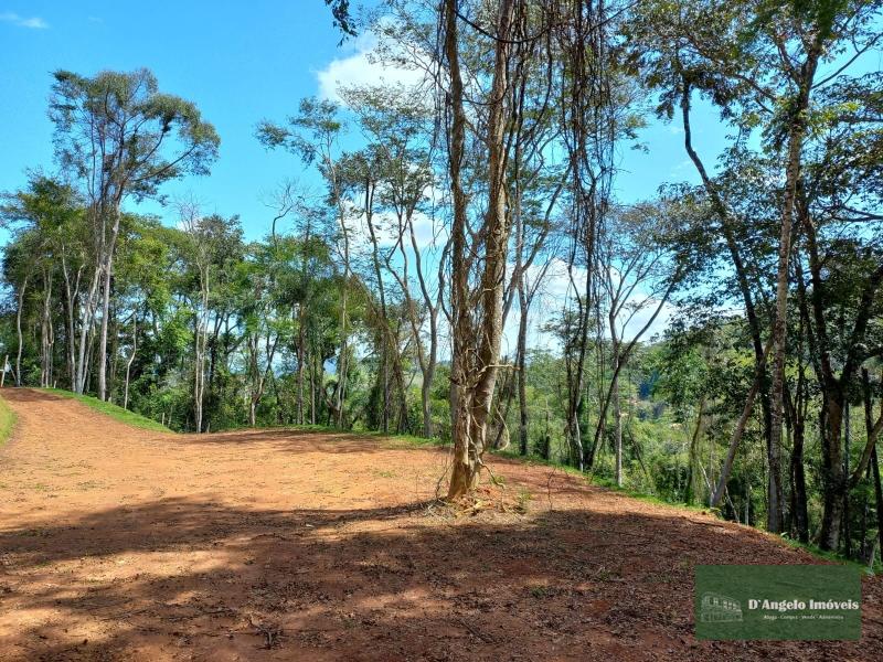 Terreno Residencial à venda em Rio de Janeiro, Paraíba do Sul - RJ - Foto 5