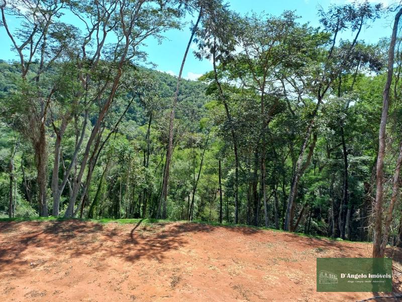 Terreno Residencial à venda em Rio de Janeiro, Paraíba do Sul - RJ - Foto 6