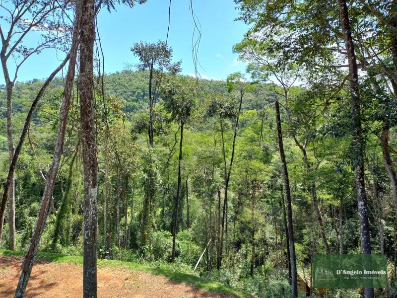 Terreno Residencial à venda em Rio de Janeiro, Paraíba do Sul - RJ - Foto 10