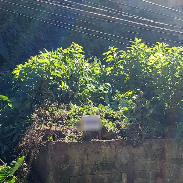 Terreno - Independência, Petrópolis/RJ 