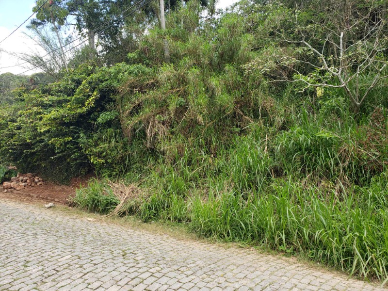 Terreno - Independência, Petrópolis/RJ 