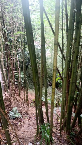 Terreno - Valparaíso, Petrópolis/RJ 