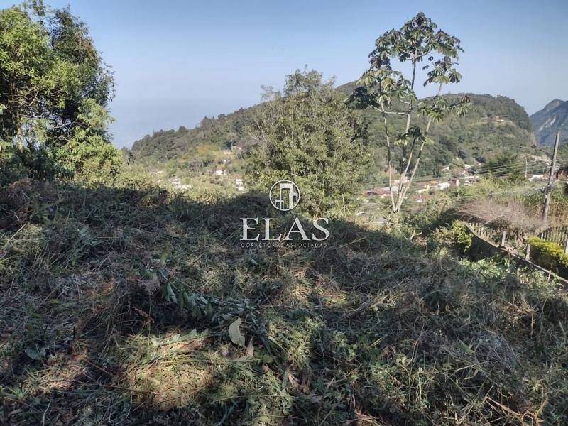 Terreno Residencial à venda em Independência, Petrópolis - RJ - Foto 1