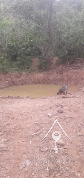 Fazenda / Sítio à venda em Centro, Areal - RJ - Foto 8