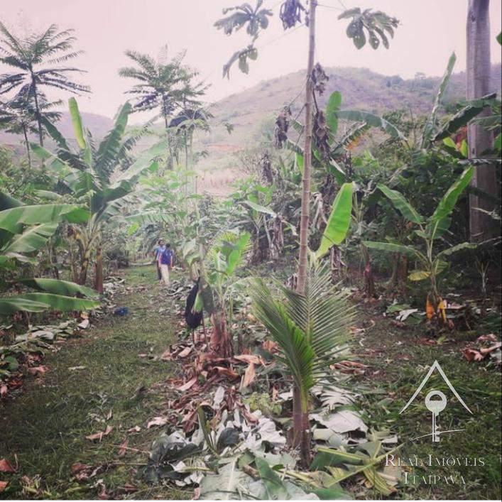 Fazenda / Sítio à venda em Centro, Areal - RJ - Foto 5