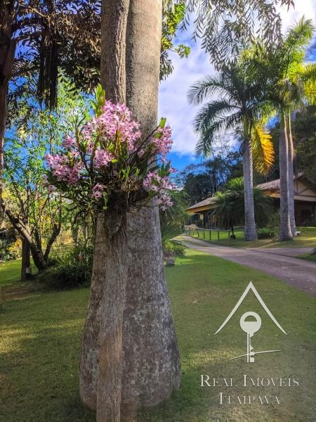 Casa para Alugar em Itaipava, Petrópolis - RJ - Foto 22