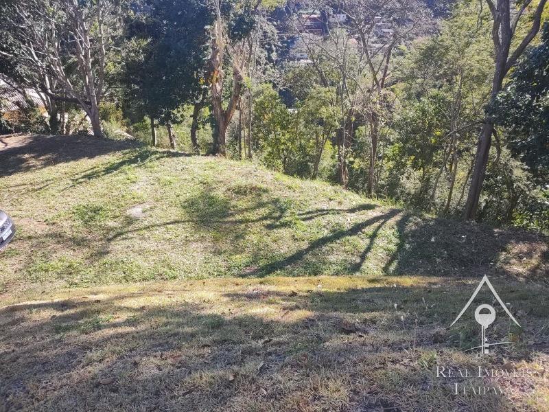Terreno Residencial à venda em Nogueira, Petrópolis - RJ - Foto 4