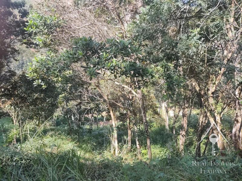 Terreno Residencial à venda em Itaipava, Petrópolis - RJ - Foto 2