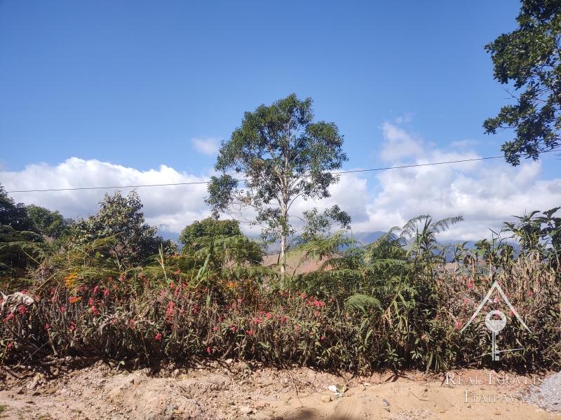 Terreno Residencial à venda em Itaipava, Petrópolis - RJ - Foto 7