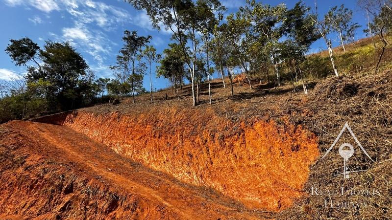 Terreno Residencial à venda em Nogueira, Petrópolis - RJ - Foto 8