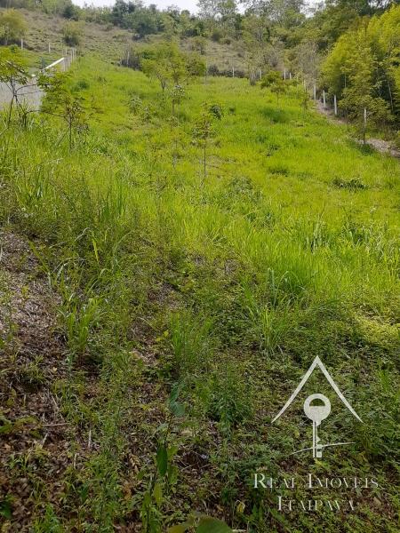 Terreno Residencial à venda em Nogueira, Petrópolis - RJ - Foto 3