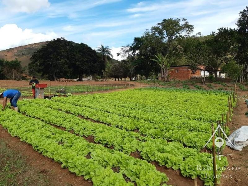 Fazenda / Sítio à venda em Centro, Paraíba do Sul - RJ - Foto 1