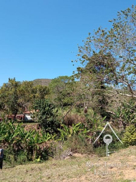 Fazenda / Sítio à venda em Centro, Paraíba do Sul - RJ - Foto 32
