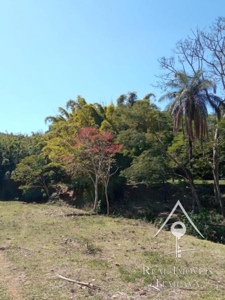 Fazenda / Sítio à venda em Centro, Paraíba do Sul - RJ - Foto 34
