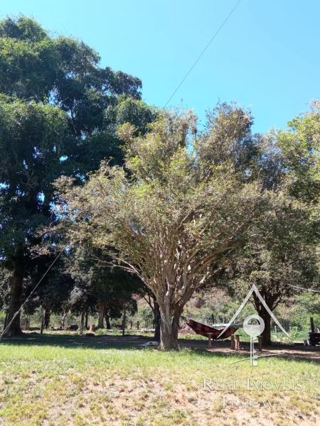Fazenda / Sítio à venda em Centro, Paraíba do Sul - RJ - Foto 4