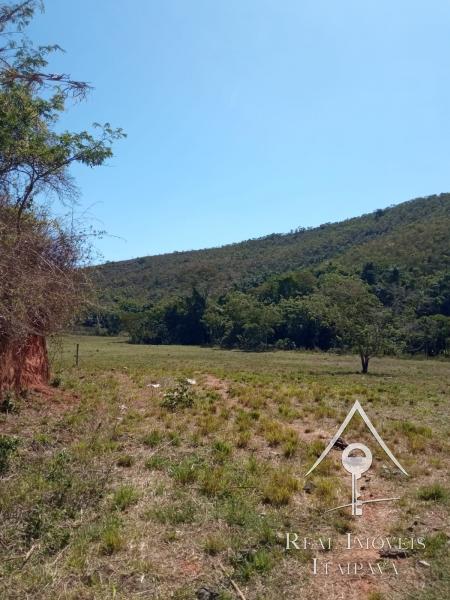 Fazenda / Sítio à venda em Centro, Paraíba do Sul - RJ - Foto 5
