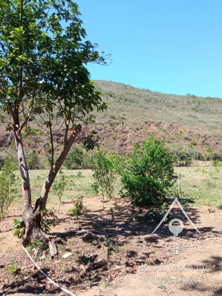 Fazenda / Sítio à venda em Centro, Paraíba do Sul - RJ - Foto 6