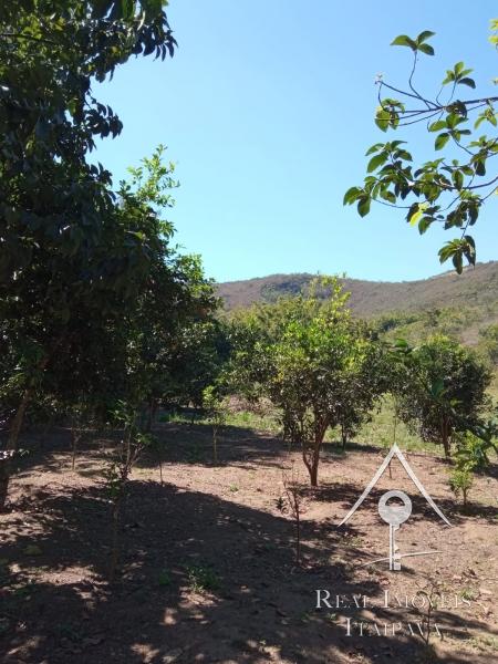 Fazenda / Sítio à venda em Centro, Paraíba do Sul - RJ - Foto 11