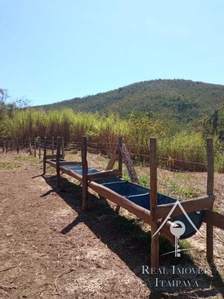 Fazenda / Sítio à venda em Centro, Paraíba do Sul - RJ - Foto 14
