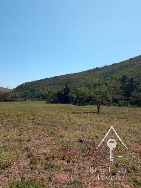 Fazenda / Sítio à venda em Centro, Paraíba do Sul - RJ - Foto 15