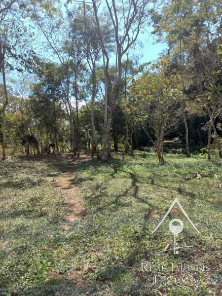 Terreno em Nogueira - Petrópolis/RJ 