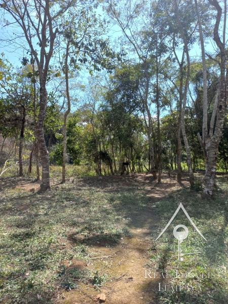 Terreno Residencial à venda em Nogueira, Petrópolis - RJ - Foto 2