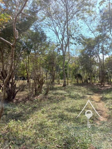 Terreno Residencial à venda em Nogueira, Petrópolis - RJ - Foto 6