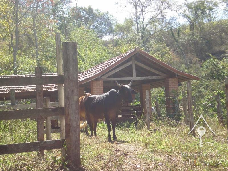 Fazenda / Sítio à venda em Centro, Areal - RJ - Foto 36