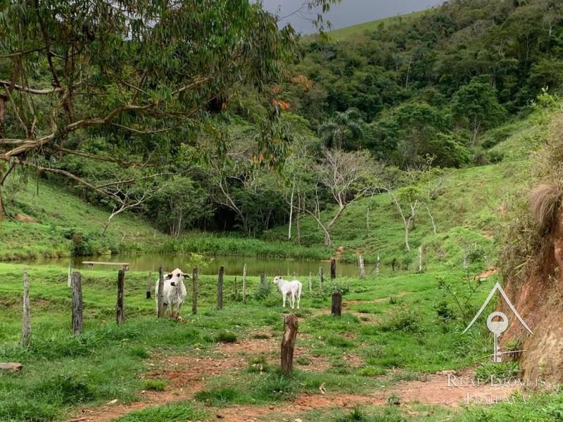 Fazenda / Sítio à venda em Itaipava, Petrópolis - RJ - Foto 22