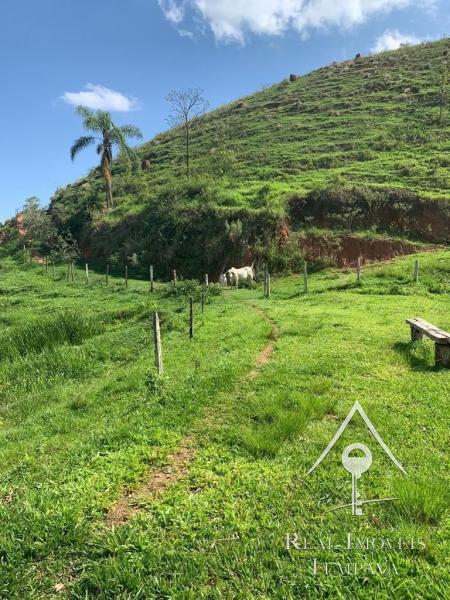 Fazenda / Sítio à venda em Itaipava, Petrópolis - RJ - Foto 18