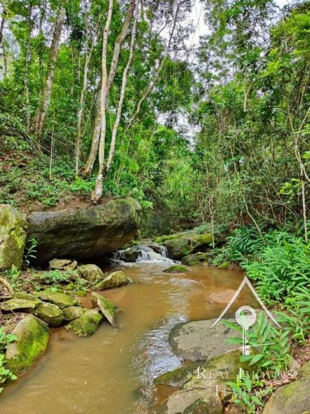 Fazenda / Sítio à venda em Itaipava, Petrópolis - RJ - Foto 13