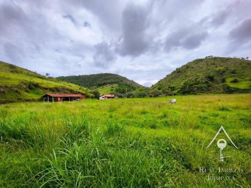 Fazenda / Sítio à venda em Itaipava, Petrópolis - RJ - Foto 12