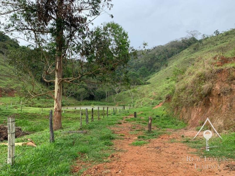 Fazenda / Sítio à venda em Itaipava, Petrópolis - RJ - Foto 8