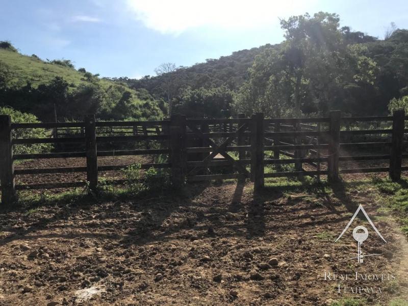 Fazenda / Sítio à venda em Itaipava, Petrópolis - RJ - Foto 32