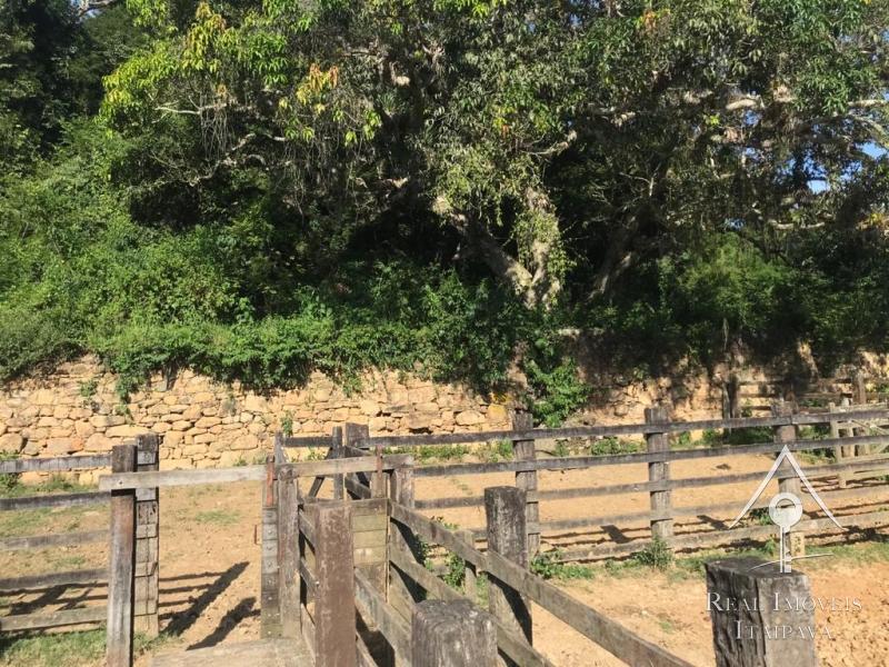 Fazenda / Sítio à venda em Itaipava, Petrópolis - RJ - Foto 9