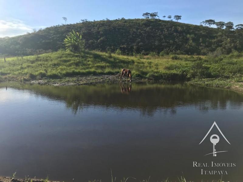 Fazenda / Sítio à venda em Itaipava, Petrópolis - RJ - Foto 18