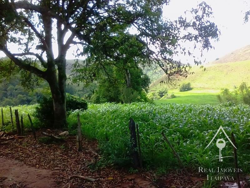 Fazenda / Sítio à venda em Itaipava, Petrópolis - RJ - Foto 37